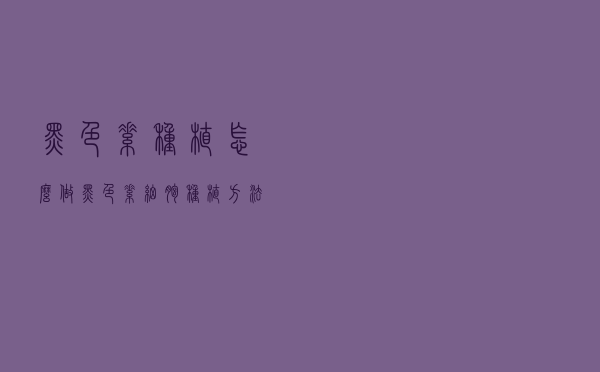 黑色素种植怎么做（黑色素细胞种植方法）