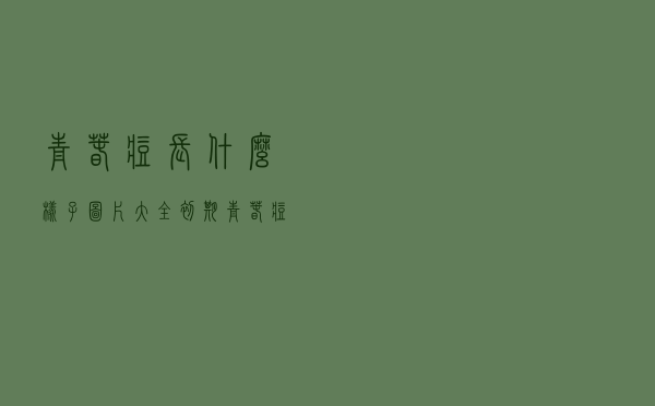 青春痘长什么样子图片大全 初期（青春痘长什么样）