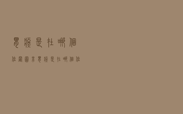 胃疼是在哪个位置图男（胃疼是在哪个位置）