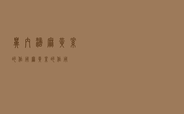 鼻内滴麻黄素的作用（麻黄素的作用）