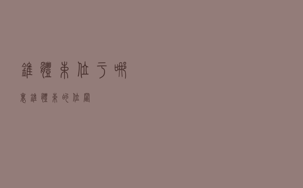 锥体束位于哪里（锥体束的位置）