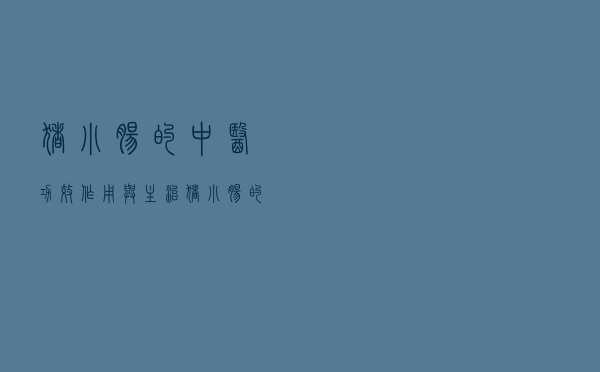 猪小肠的中医功效作用与主治（猪小肠的中医功效作用）