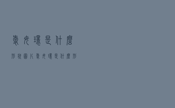 爱母环是什么形状图片（爱母环是什么形状）