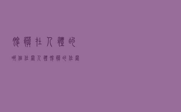 脾脏在人体的哪个位置（人体脾脏的位置）