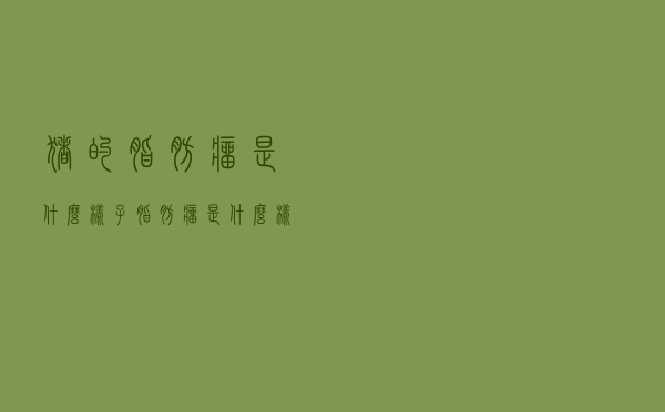 猪的脂肪瘤是什么样子（脂肪瘤是什么样子）