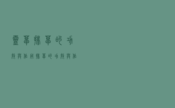 灵草排草的功效与作用（排草的功效与作用）