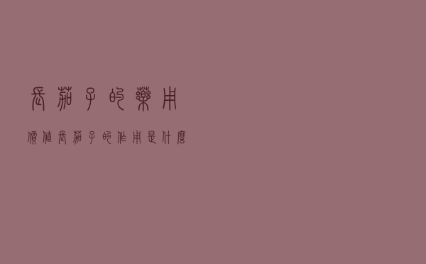长茄子的药用价值（长茄子的作用是什么）
