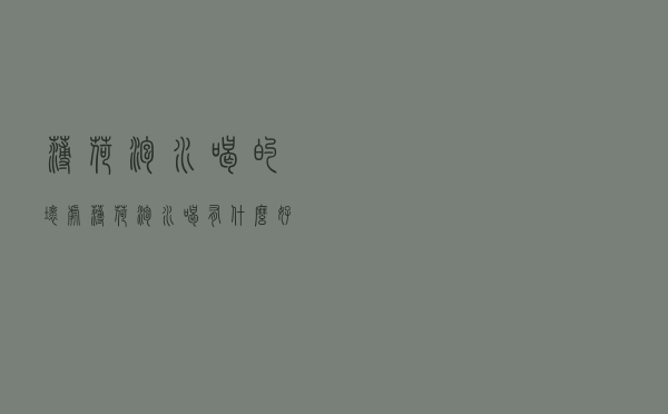 薄荷泡水喝的坏处（薄荷泡水喝有什么好处）