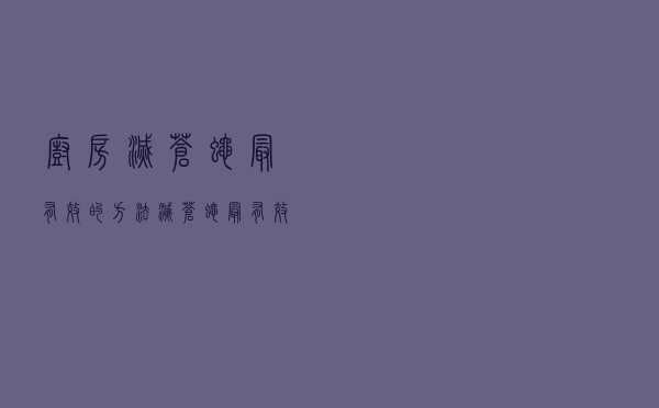 厨房灭苍蝇最有效的方法（灭苍蝇最有效的方法）