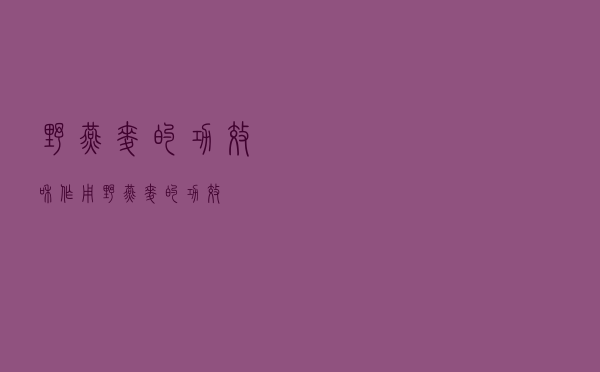 野燕麦的功效和作用（野燕麦的功效）