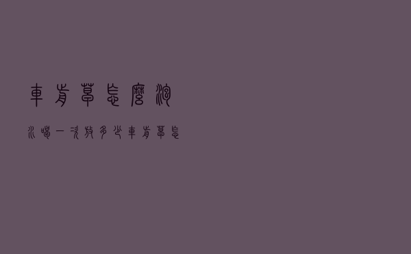 车前草怎么泡水喝一次放多少（车前草怎么泡水喝）