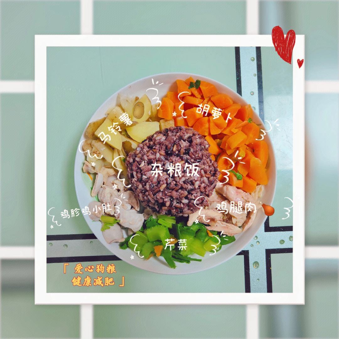 训练金毛奖励的食谱(训练金毛用什么做奖励)