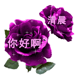 微信送花动态图片大全(微信里送花花是什么意思)