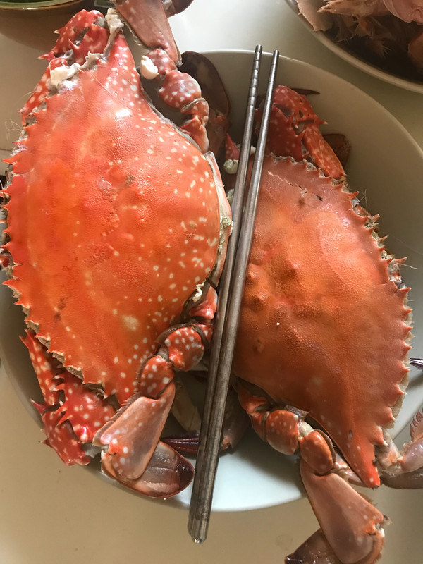 海蟹的做法(海蟹的做法怎么做好吃又简单)