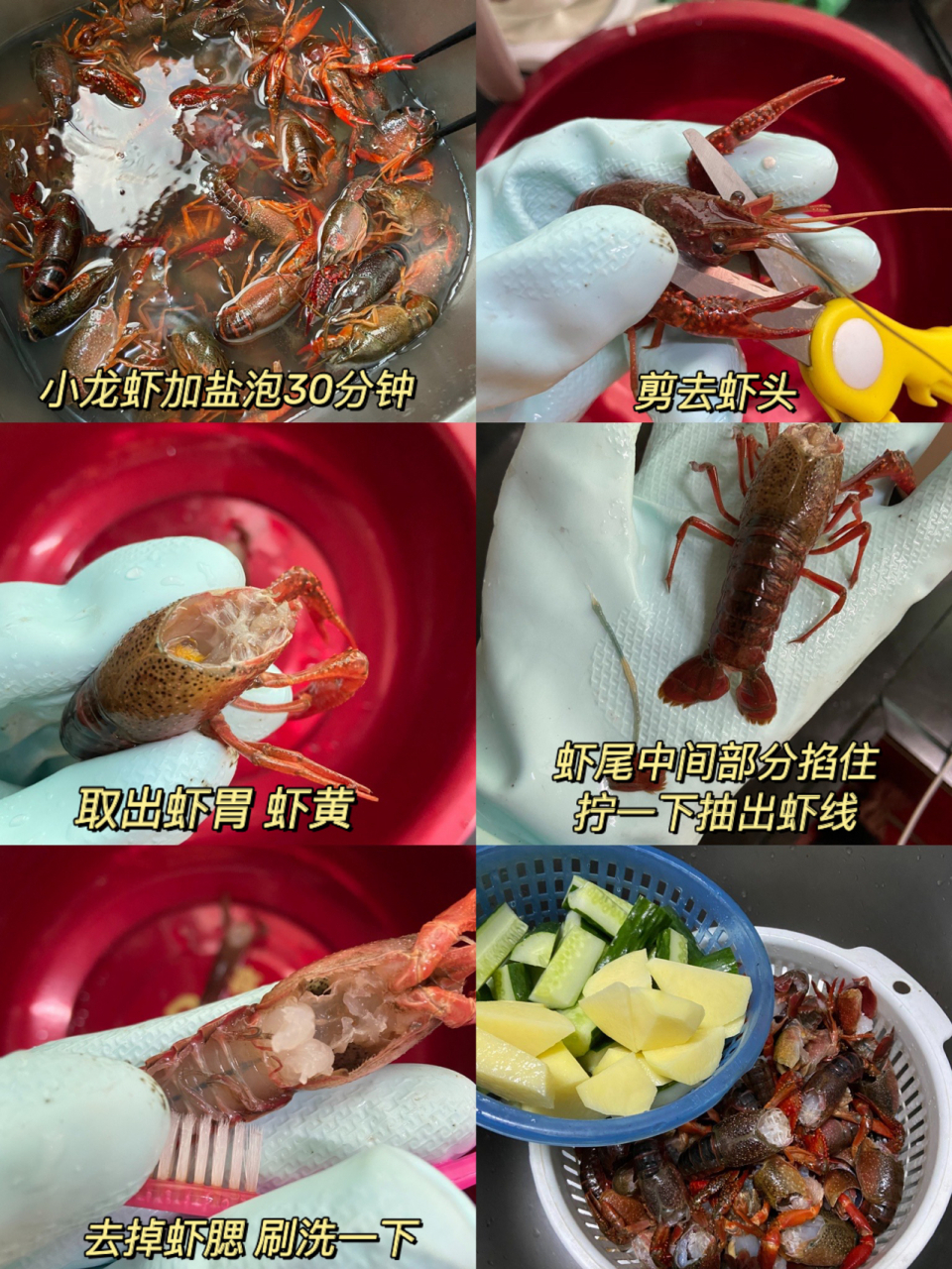 麻辣小龙虾教程(麻辣小龙虾教程 香辣小龙虾)