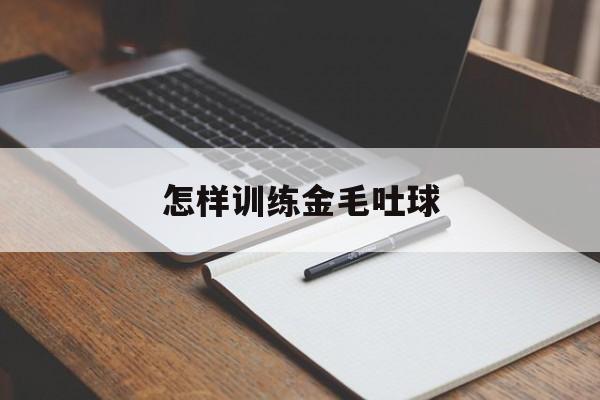 怎样训练金毛吐球(怎样训练金毛吐球技巧)