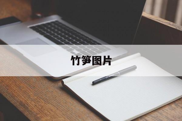 竹笋图片(竹笋图片 种类)