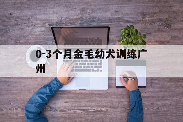 0-3个月金毛幼犬训练广州(几个月开始训练金毛幼犬定点大小便)
