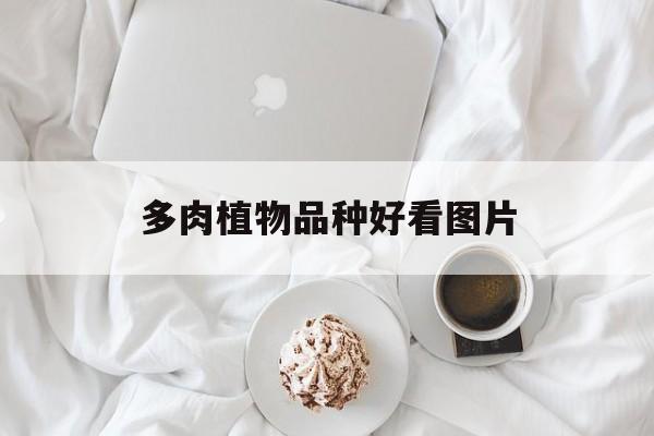 多肉植物品种好看图片(多肉植物图片及名称 图鉴 品种)
