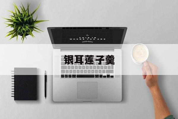 银耳莲子羹(银耳莲子羹隔夜能吃吗)