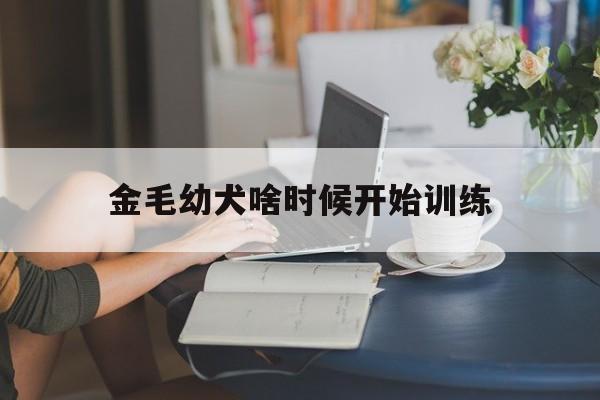 金毛幼犬啥时候开始训练(金毛幼犬啥时候开始训练好)