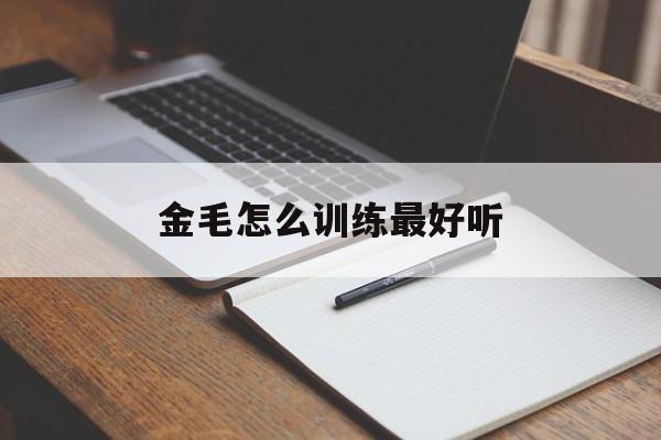 金毛怎么训练最好听(金毛怎么训练视频教程)