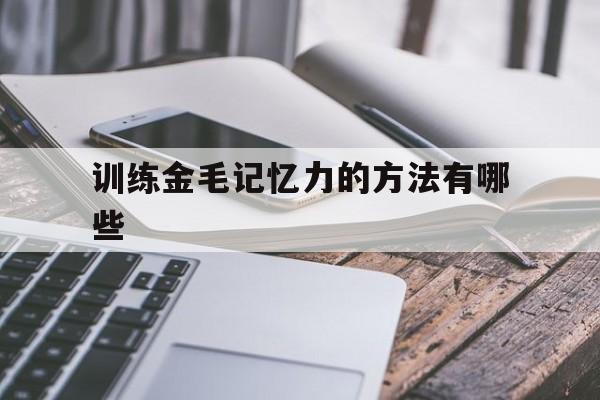 训练金毛记忆力的方法有哪些(训练金毛记忆力的方法有哪些视频)