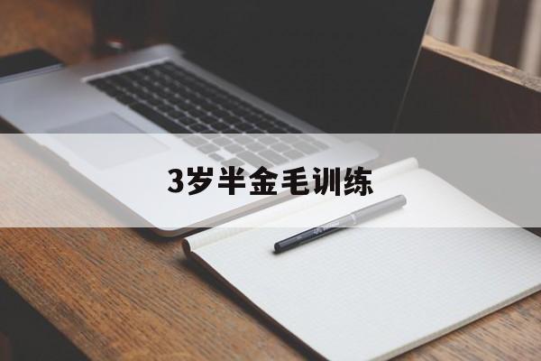 3岁半金毛训练(三岁的金毛体型多大)