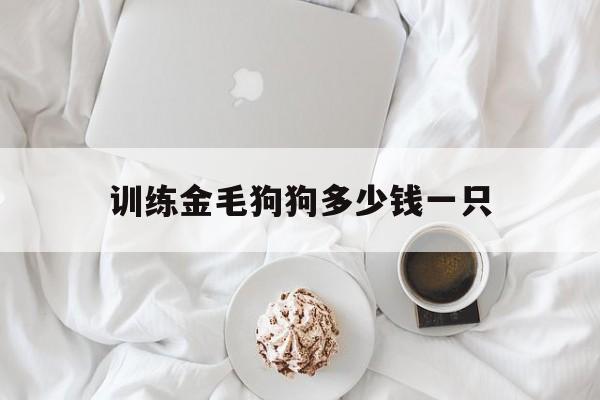 训练金毛狗狗多少钱一只(训练金毛狗狗多少钱一只幼犬)