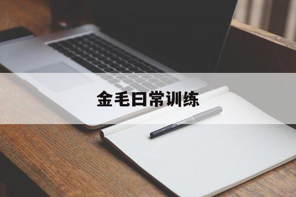 金毛曰常训练(训练金毛基本常识)