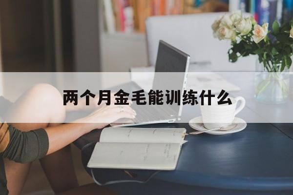 两个月金毛能训练什么(2个月的金毛好养活吗?)
