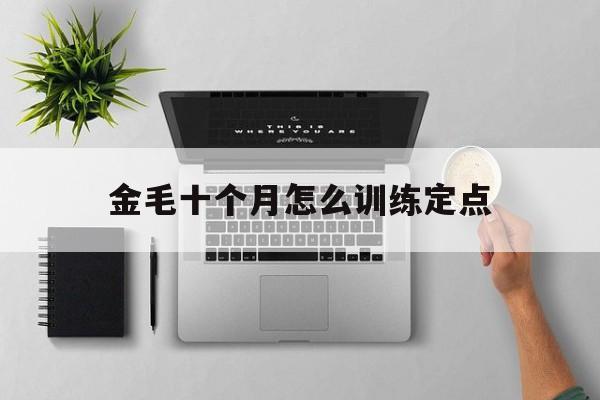 金毛十个月怎么训练定点(10个月金毛多久能忘记前主人)