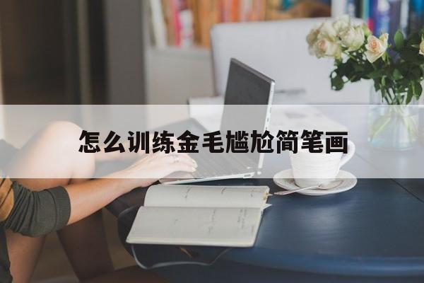 怎么训练金毛尴尬简笔画的简单介绍