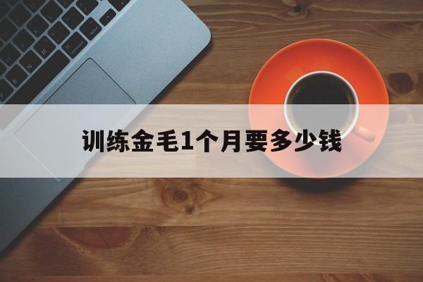 训练金毛1个月要多少钱(训练一个月的小金毛视频教学视频)