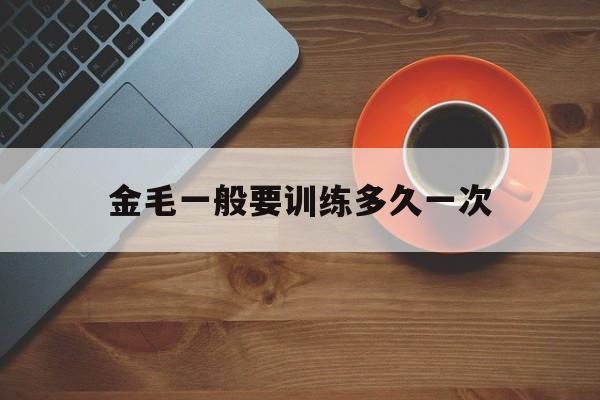 金毛一般要训练多久一次(金毛训练最佳时期是几个月)