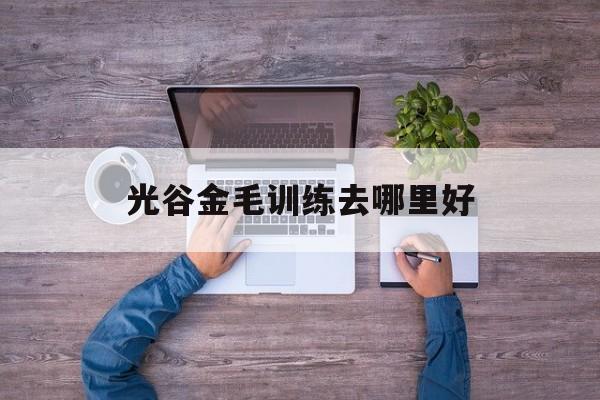 光谷金毛训练去哪里好(光谷金毛训练去哪里好点)