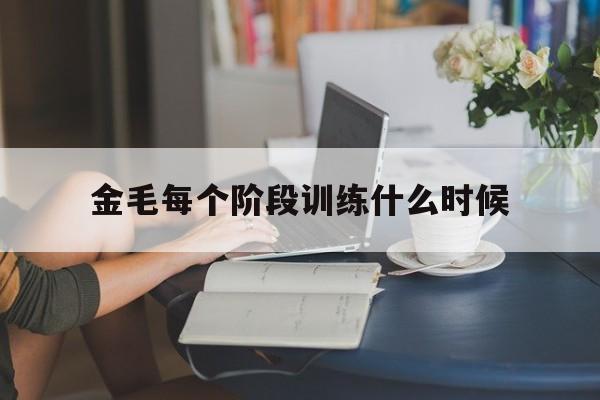 金毛每个阶段训练什么时候(金毛狗狗在什么时候训练比较好)