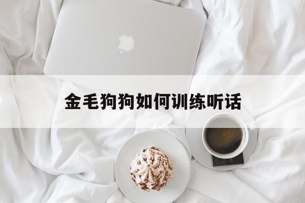 金毛狗狗如何训练听话(金毛狗狗如何训练听话的能力)