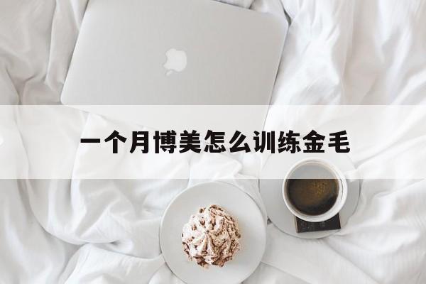 一个月博美怎么训练金毛(一个月博美怎么训练金毛的)