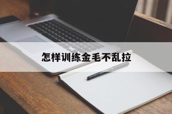 怎样训练金毛不乱拉(怎样训练金毛狗狗在固定地方大小便)