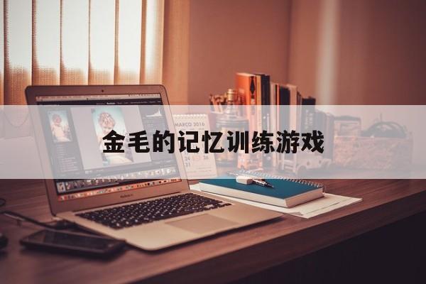 金毛的记忆训练游戏(金毛可以学会什么指令)