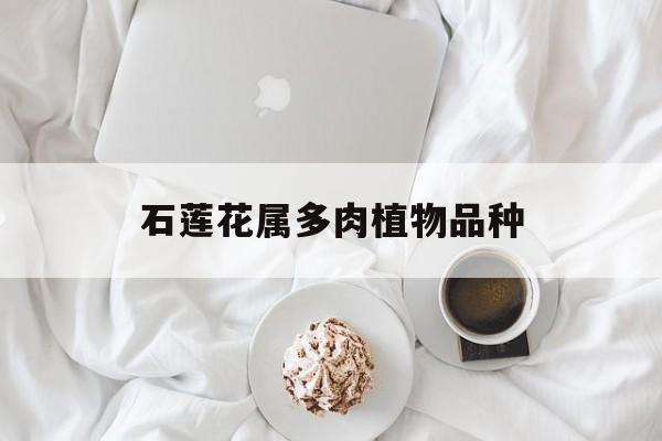 石莲花属多肉植物品种(石莲花属多肉有多少种?)