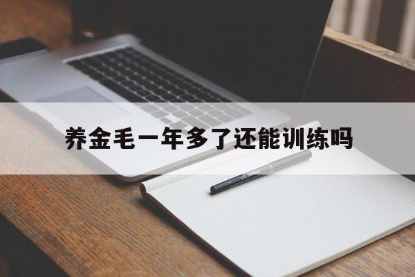 养金毛一年多了还能训练吗(金毛养了一年不想养了怎么办)