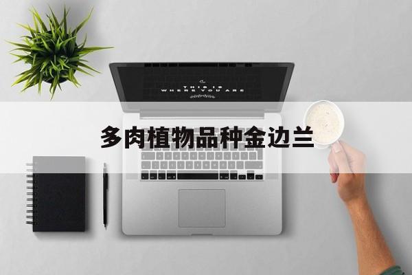 多肉植物品种金边兰(多肉植物品种金边兰图片)