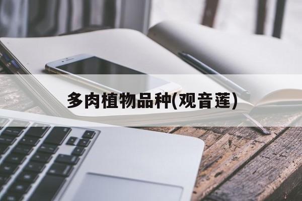 多肉植物品种(观音莲)(多肉观音莲的养殖方法和注意事项)