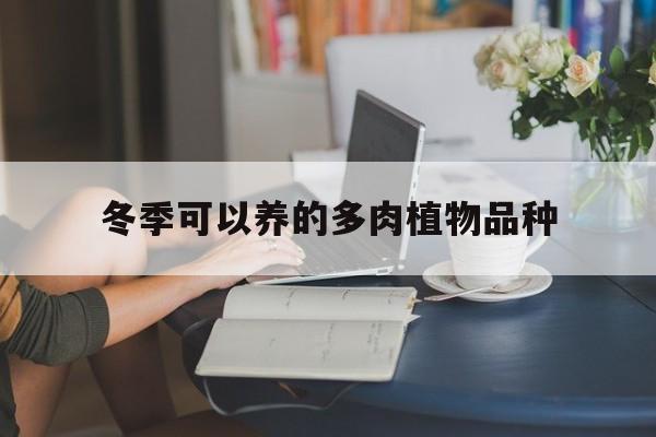 冬季可以养的多肉植物品种(冬季可以养的多肉植物品种有哪些)