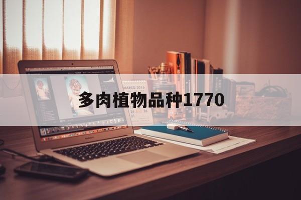 多肉植物品种1770(多肉植物品种名称及图片)