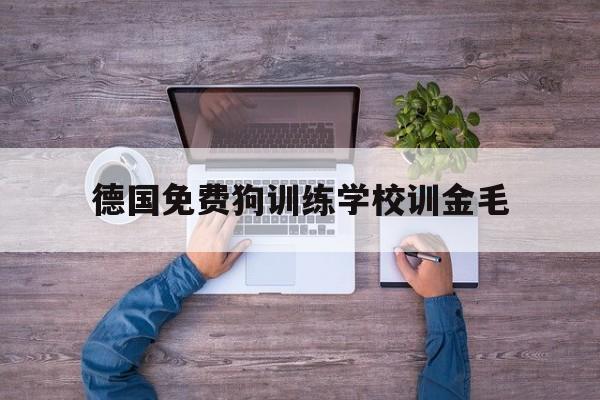 包含德国免费狗训练学校训金毛的词条