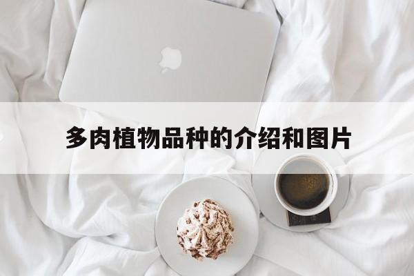 多肉植物品种的介绍和图片(多肉植物品种的介绍和图片欣赏)