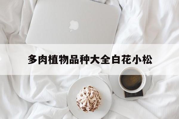 多肉植物品种大全白花小松(白花小松的养殖方法和注意事项)